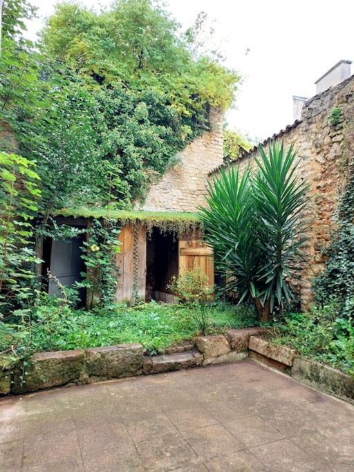 Le Patio - Cinelodge Avec Jardin Poitiers Zewnętrze zdjęcie